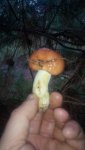20180923084024.jpg