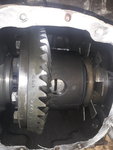 20190325_135401.jpg