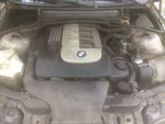 IMG_0111.jpeg