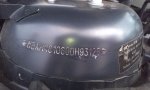 IMAG0529.jpg