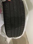 IMG_20191026_115613_018.jpg