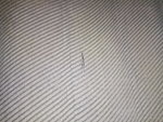 IMG_20200325_222759.jpg