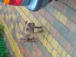 IMG_20130921_145950.jpg