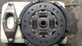 IMG_20210301_113017.jpg