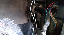 IMG_20210311_130732.jpg