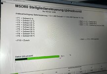IMG_5515.thumb.jpeg.3310ecfafec034f08b1f0de5d2252a89.jpeg