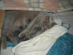 DSCN2264.jpg