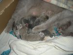 DSCN2265.jpg