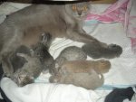 DSCN2274.jpg
