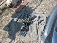 20260327_113009.jpg 20260327_113009.jpg