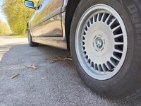 IMG_20260504_114202_034.jpg