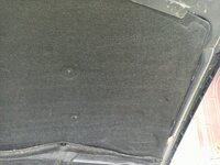 IMG_20260418_105824_877.jpg