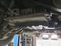 IMG_20260406_101849_313.jpg