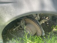 IMG_0183.jpeg