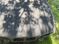 IMG_0194.jpeg
