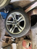 IMG_0222.jpeg