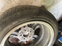 IMG_0225.jpeg