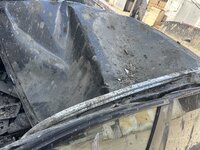 IMG_0388.jpeg