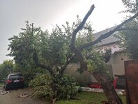 20260804_193933.jpg 20260804_193933.jpg